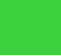 Vert fluo (cotton poplin)