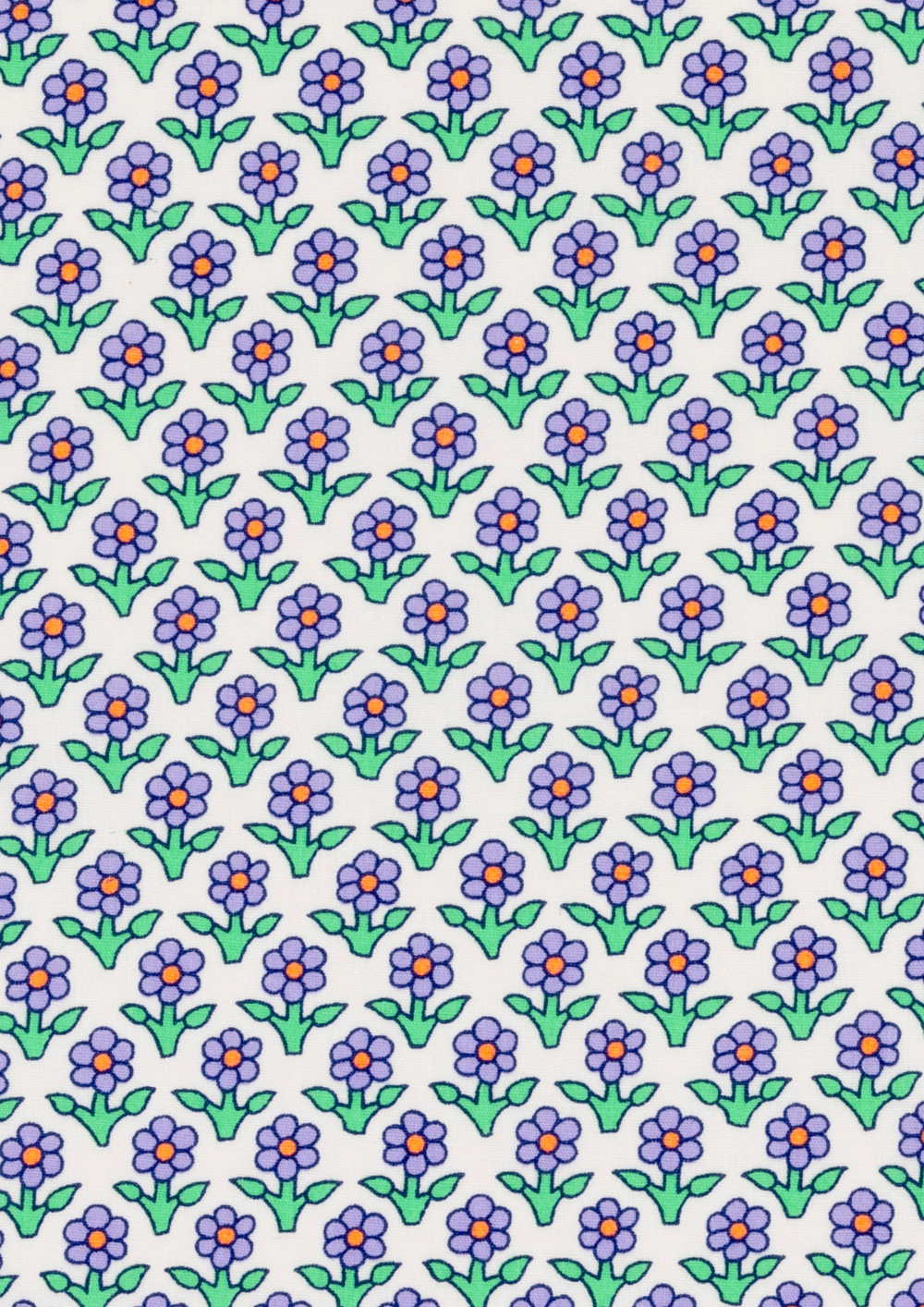 Vaninath blanc (oilcloth)