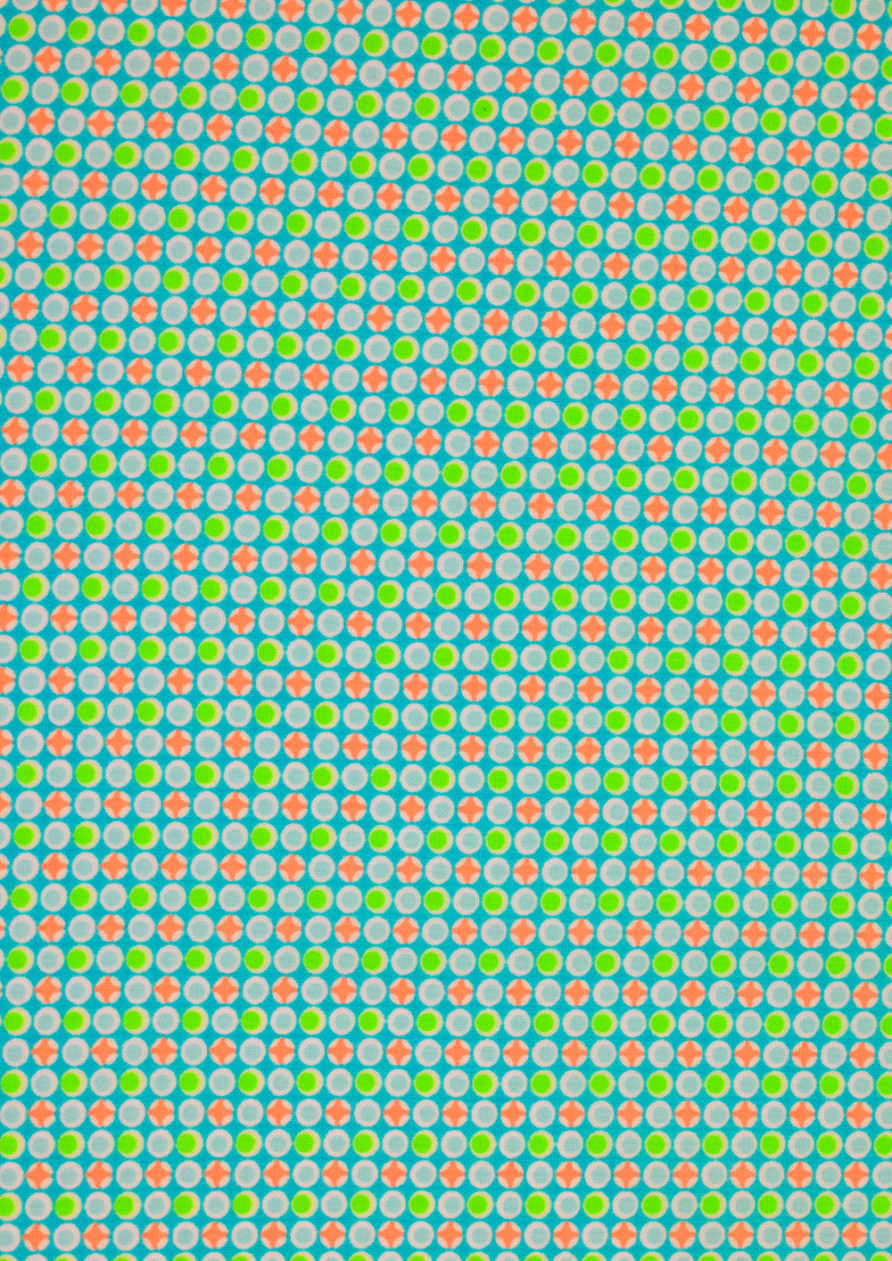 Django azur (cotton poplin)