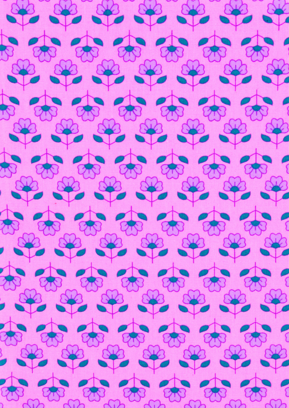 Alisha rose (cotton poplin)
