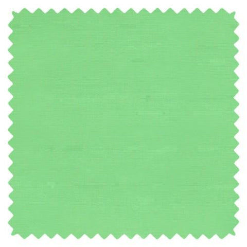 Tissu coton Oeko-Tex Petit Pan Vert printemps