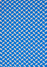 Pépin bleu (cotton poplin)